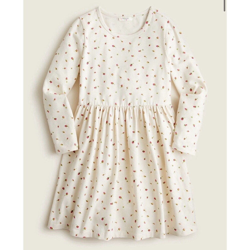 Crewcuts Floral Skater Dress Girls 8 Long Sleeve Fit Flare Cotton sold out!